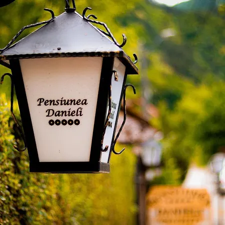 Guest house Pensiunea Danieli 5*