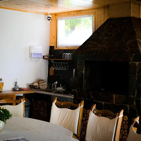 Guest house Pensiunea Danieli