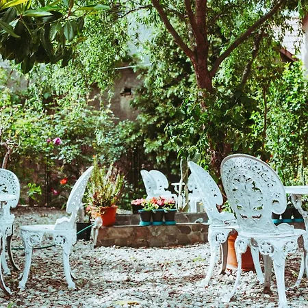 Pensiunea Danieli Guest house 5*